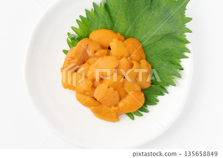 美味的生海膽盛於盤中 135658849