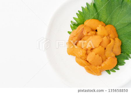 美味的生海膽盛於盤中 135658850