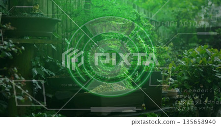 Bonsai tree sitting in rectangular pot on wooden table in backyard garden, with holographic overlay 135658940