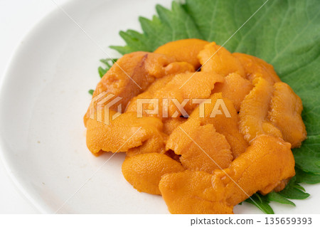 Close-up of delicious raw sea urchin Close-up of delicious raw sea urchin 135659393