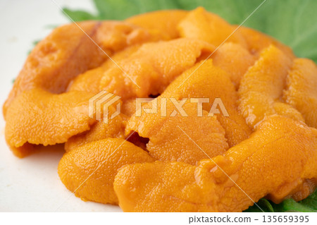 Close-up of delicious raw sea urchin Close-up of delicious raw sea urchin 135659395