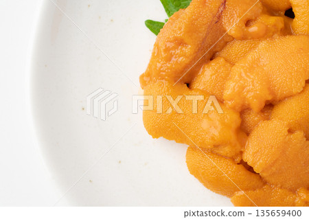 美味生海膽的特寫鏡頭 美味生海膽的特寫鏡頭 135659400
