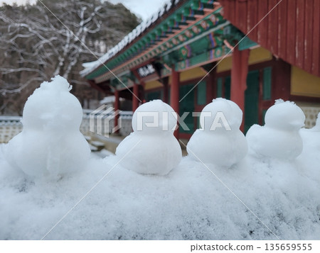 Row of Snow Ducks Lined Up on a Traditional Korean Tiled Wall with Modern Apartments in the Background After Heavy Snowfall 135659555