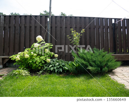 Green grass lawn with flowerbed and wooden fence. Lush garden landscape with various plants for outdoor relaxation. Backyard design. 135660649