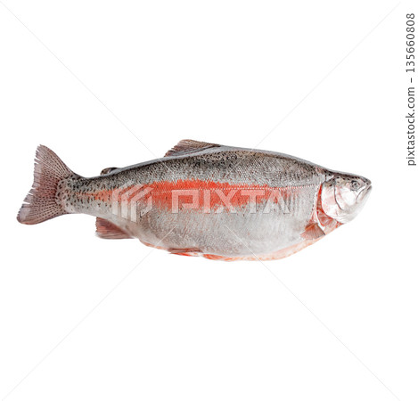 Raw fish with a distinct red stripe running along its body, viewed from the side. A natural seafood product rich in protein and omega-3 fatty acids. Suitable for advertising healthy eating, culinary Raw fish with a distinct red stripe running along its body, viewed from the side. A natural seafood product rich in protein and omega-3 fatty acids. Suitable for advertising healthy eating, culinary 135660808