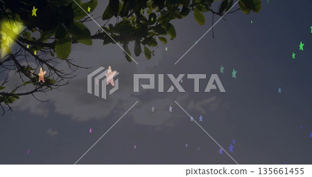 Framing overhanging tree branches draping green leaves against dusky sky, showing star shapes 135661455