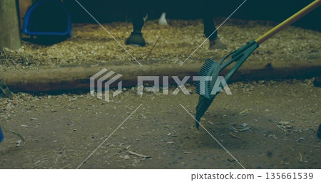 Gloved hand gathering shavings with plastic rake in stall, boots, horse hooves, bucket, copy space Gloved hand gathering shavings with plastic rake in stall, boots, horse hooves, bucket, copy space 135661539