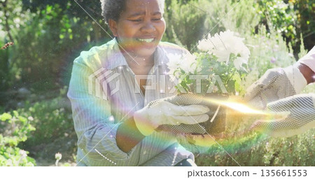 Handing potted white flowering plant by gardener wearing gloves and striped shirt in sunlit garden Handing potted white flowering plant by gardener wearing gloves and striped shirt in sunlit garden 135661553