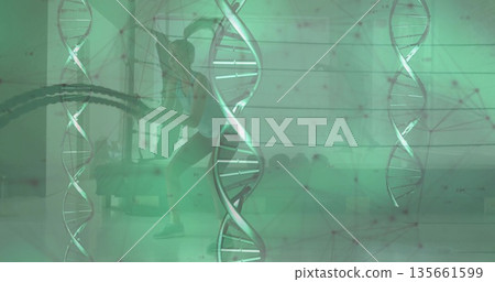 Gym partners pulling battle ropes inside fitness studio, with tractor tire, DNA overlay Gym partners pulling battle ropes inside fitness studio, with tractor tire, DNA overlay 135661599