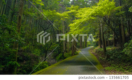 通往天岩戶的道路 通往天岩戶的道路 135661705