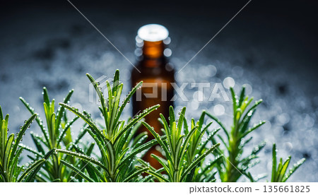 Fresh rosemary leaves with water droplets and a dark bottle of aromatic oil in the background 135661825