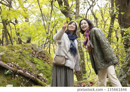 A woman strolling along a mountain stream A woman strolling along a mountain stream 135661846
