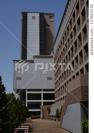 Nihon University College of Bioresource Sciences 135662016