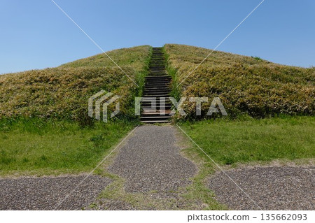 井出二子山墓 135662093