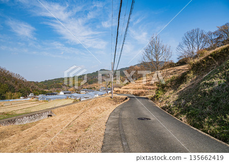 Rice terraces in Inabuchi, Asuka Village, one of Japan's 100 best rice terraces, Nara Prefecture 135662419
