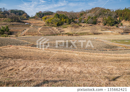 奈良縣飛鳥村稻淵梯田,日本百大梯田之一。 奈良縣飛鳥村稻淵梯田,日本百大梯田之一。 135662421
