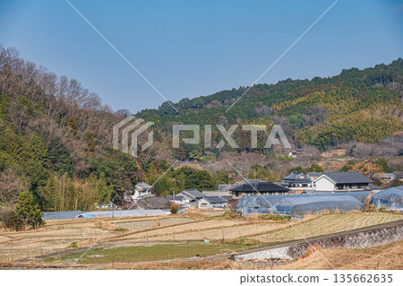奈良縣飛鳥村稻淵梯田的冬季景色,這裡是日本百大名梯田之一。 奈良縣飛鳥村稻淵梯田的冬季景色,這裡是日本百大名梯田之一。 135662635