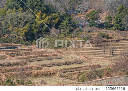 奈良縣飛鳥村稻淵梯田的冬季景色，這裡是日本百大名梯田之一。 135662636