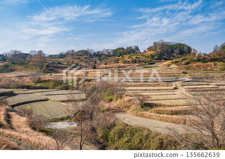 奈良縣飛鳥村稻淵梯田的冬季景色,這裡是日本百大名梯田之一。 奈良縣飛鳥村稻淵梯田的冬季景色,這裡是日本百大名梯田之一。 135662639