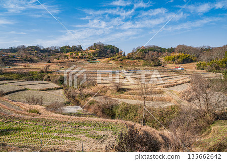 奈良縣飛鳥村稻淵梯田的冬季景色,這裡是日本百大名梯田之一。 奈良縣飛鳥村稻淵梯田的冬季景色,這裡是日本百大名梯田之一。 135662642
