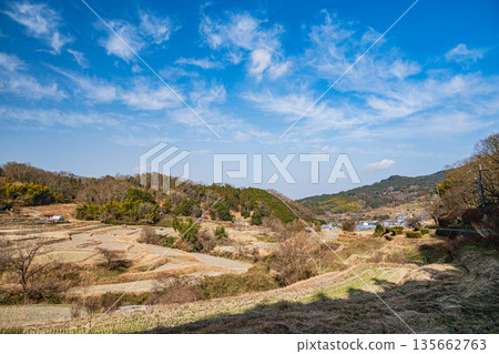 奈良縣飛鳥村稻淵梯田的冬季景色，這裡是日本百大名梯田之一。 135662763
