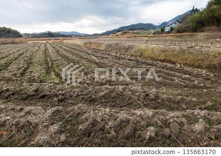 Stock photo of a field: A field that has been plowed and ridged, but nothing has been planted yet; A fallow, roughly plowed field 135663170