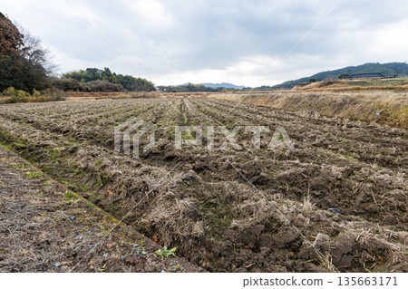 Stock photo of a field: A field that has been plowed and ridged, but nothing has been planted yet; A fallow, roughly plowed field Stock photo of a field: A field that has been plowed and ridged, but nothing has been planted yet; A fallow, roughly plowed field 135663171