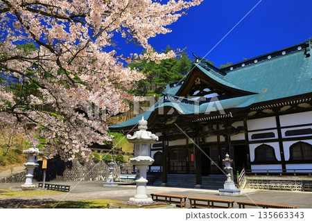 Red bridge and cherry blossoms Red bridge and cherry blossoms 135663343