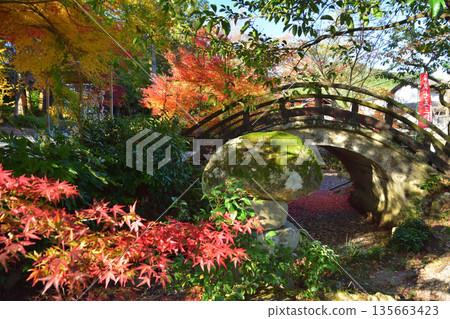 Autumn leaves at Kurokami Shrine Autumn leaves at Kurokami Shrine 135663423