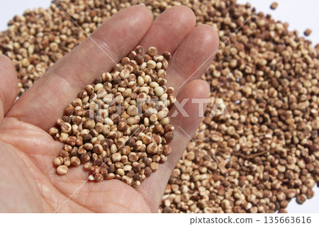 It is a sorghum that is placed in the hand. 135663616