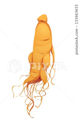 Cartoon ginseng root China medicine icon or symbol. Asia culture object, China isolated ginseng root vector icon. Asian healthcare and cuisine cartoon symbol or Chinese medicine item 135663655