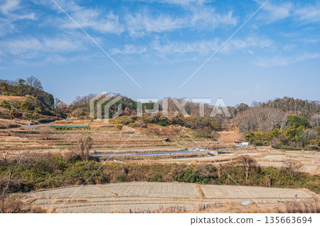 奈良縣飛鳥村稻淵梯田的冬季景色，這裡是日本百大名梯田之一。 135663694