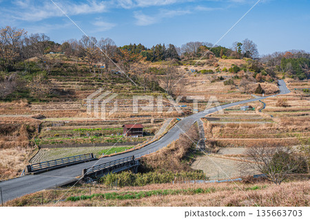 奈良縣飛鳥村稻淵梯田的冬季景色，這裡是日本百大名梯田之一。 135663703