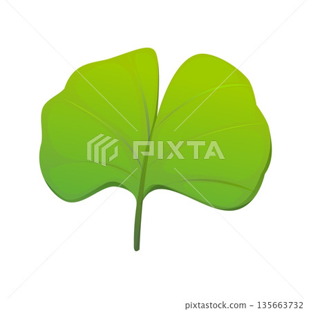 Cartoon ginkgo tree leaf China culture icon or item. Asian isolated green ginkgo leaf, Chinese tradition cartoon vector plant. China culture tree symbol or Asia medicine icon 135663732