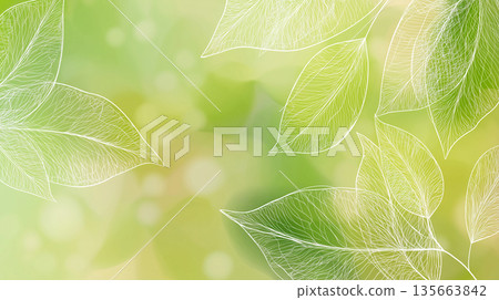 乾淨的植物葉片插圖背景素材，適用於醫療、保健、季節性和環境用途。 135663842