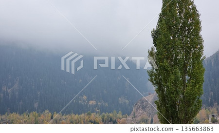 Beautiful Autumn Landscape With Trees And Mountains Beautiful Autumn Landscape With Trees And Mountains 135663863