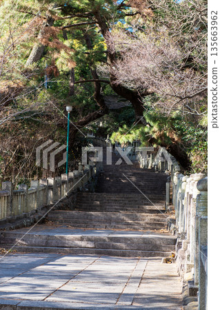 The stairs of Kotohiki Hachiman Shrine The stairs of Kotohiki Hachiman Shrine 135663962
