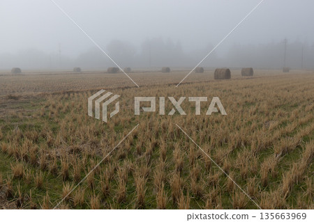 薄霧中的麥稈捲,收割後留在田野裡的可愛麥稈捲。 薄霧中的麥稈捲,收割後留在田野裡的可愛麥稈捲。 135663969
