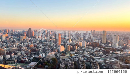 Tokyo Magic Hour 135664166