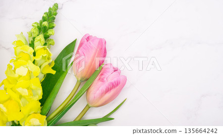 背景素材包含春花和留白區域 背景素材包含春花和留白區域 135664242