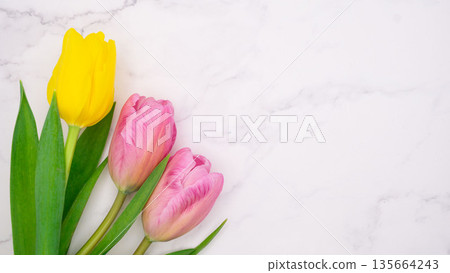 Spring tulips and marble background material 135664243
