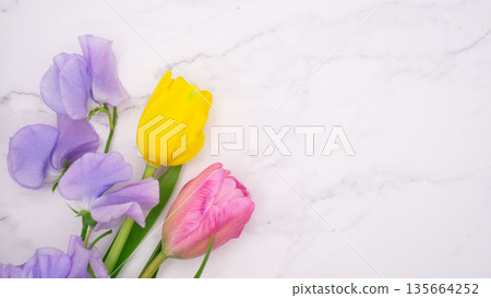 Background material with spring flowers and copy space 135664252