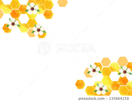 Watercolor honeycomb background frame Manuka flower and honey decorative material 135664258