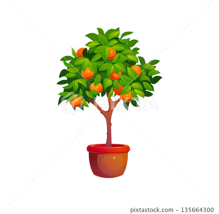 Cartoon Chinese Lunar New Year orange tree in pot symbolizing luck, prosperity and abundance. Vector festive traditional Asian plant icon or game asset with mandarin citrus fruits and green leaves 135664300