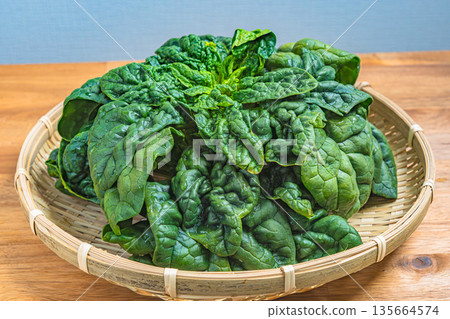 Chick Spinach Chick Spinach 135664574