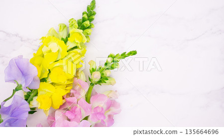Spring flowers and marble frame background Spring flowers and marble frame background 135664696