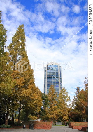 Kobe City Hall (vertical) seen from Higashiyuenchi Park with its autumn leaves along the street Kobe City Hall (vertical) seen from Higashiyuenchi Park with its autumn leaves along the street 135664826