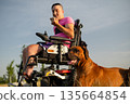 Modern accessible lifestyle concept showing a wheelchair user with his dog in a natural setting. 135664854