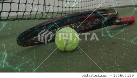 Lying black-red paddle-racket on green court near net, showing yellow tennis ball with tech overlay 135665139