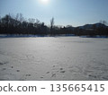 Nakajima Park, Iris Pond, Ice 135665415